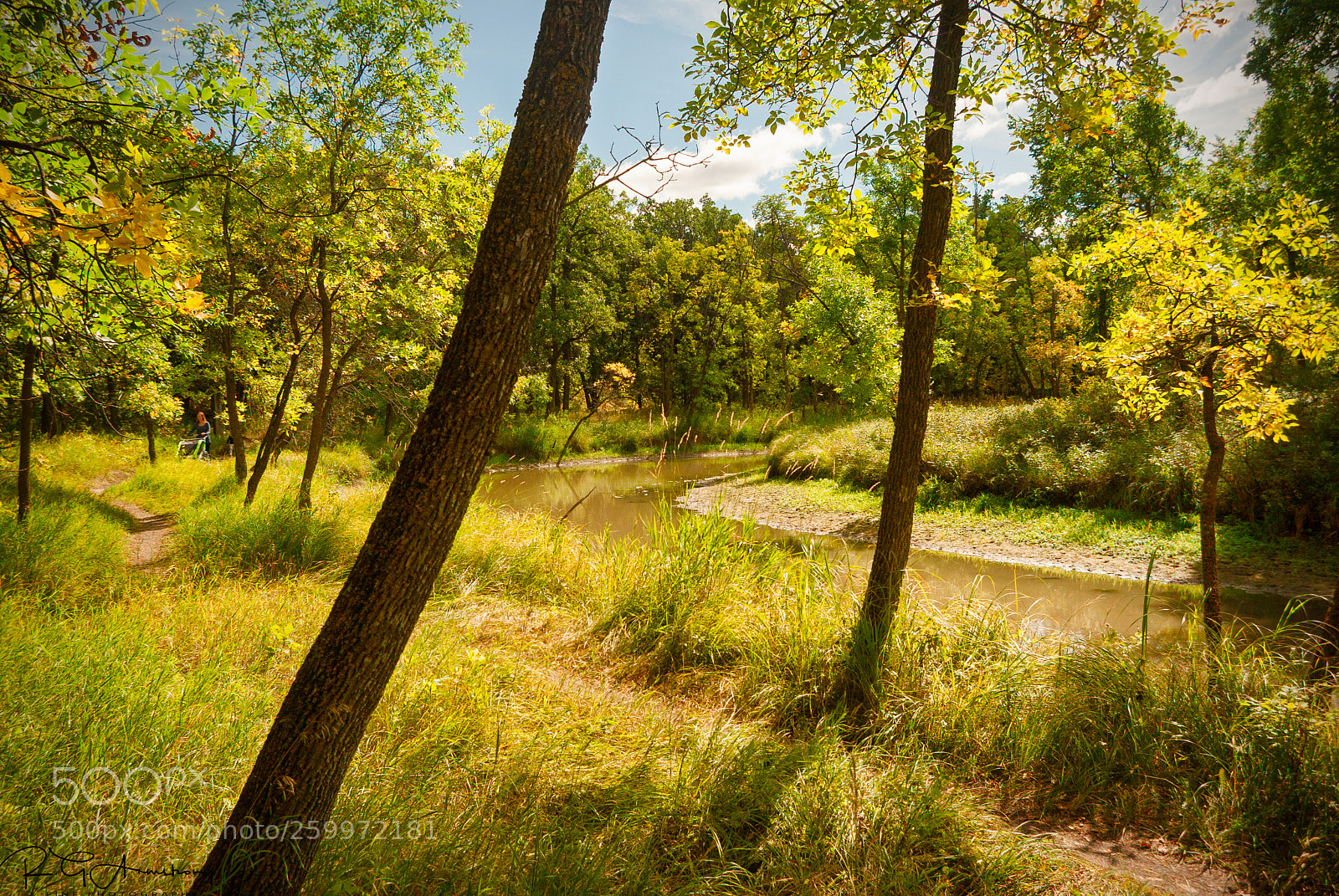 Pentax K200D sample photo. Path by the river photography