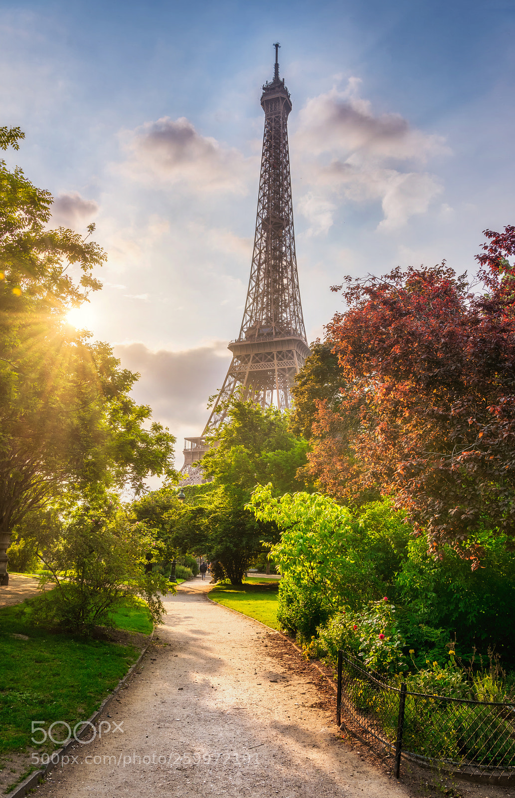 Nikon D810 sample photo. Eiffel view photography