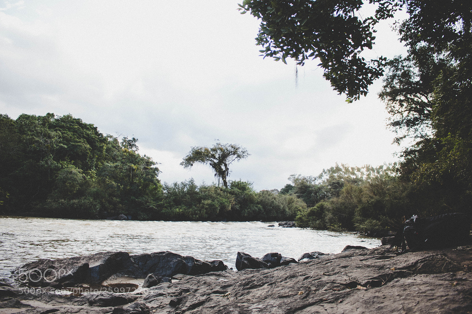 Canon EOS 700D (EOS Rebel T5i / EOS Kiss X7i) sample photo. River forest photography