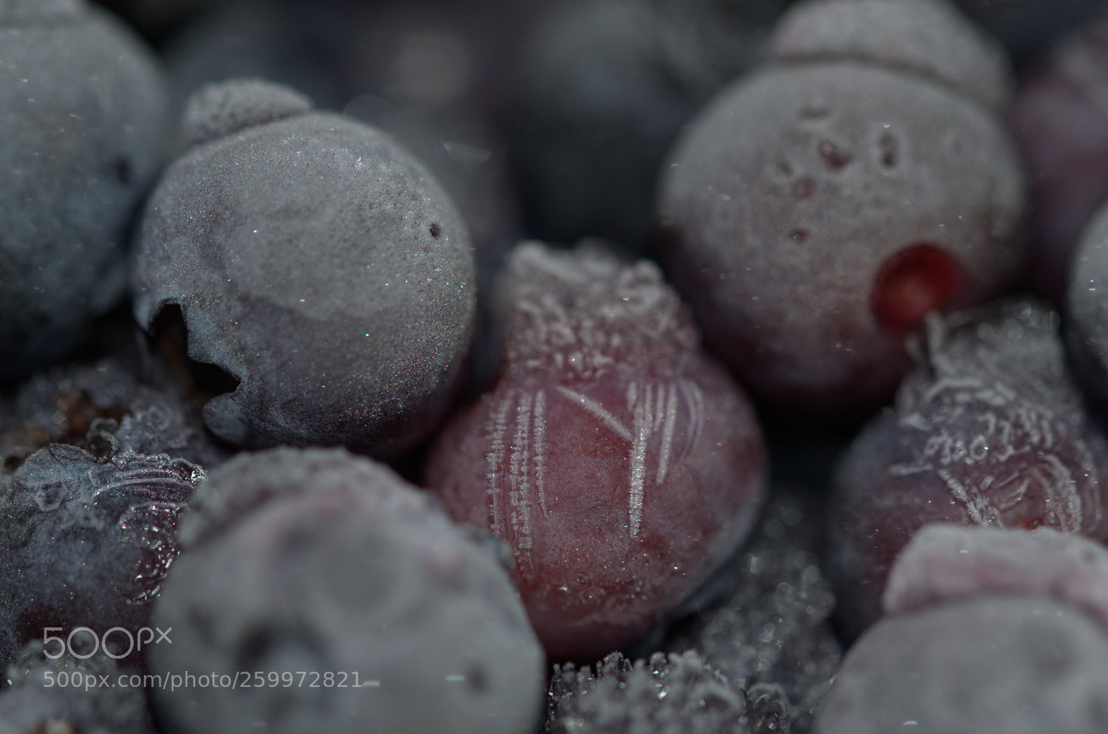 Nikon D7000 sample photo. Fruity frozen landscape photography