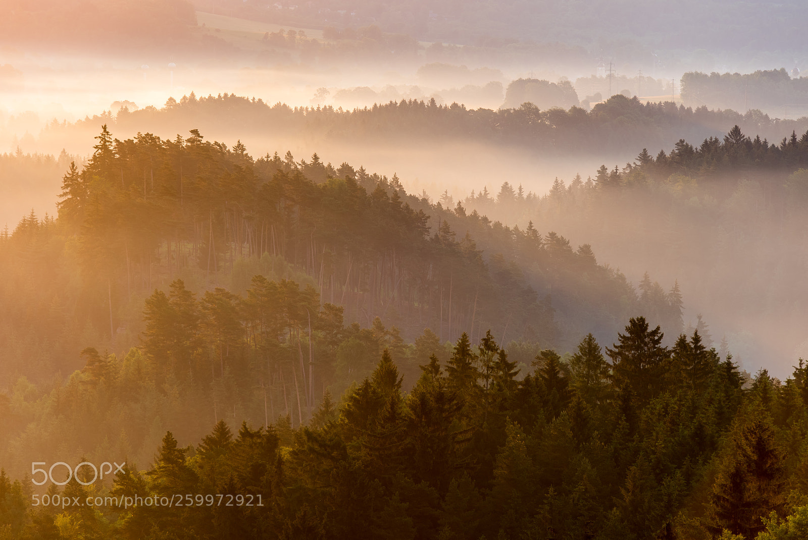 Nikon D750 sample photo. Misty morning. photography