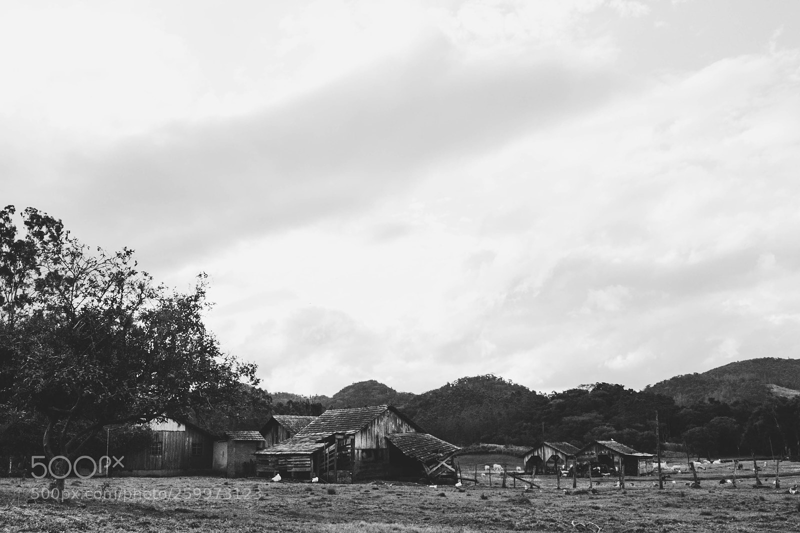 Canon EOS 700D (EOS Rebel T5i / EOS Kiss X7i) sample photo. Rural life photography