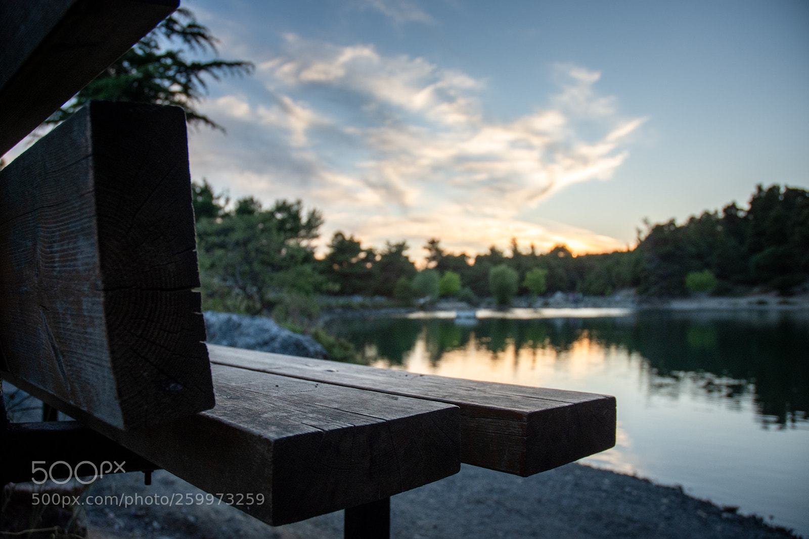 Nikon D7200 sample photo. Untitled photography