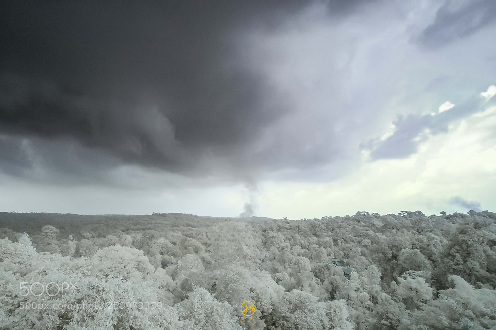Nikon D70 sample photo. The winter on kulen photography