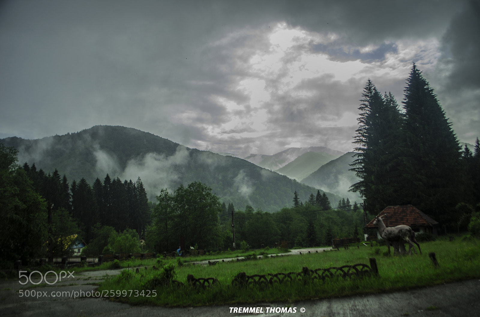 Nikon D5100 sample photo. A dream landscape and photography