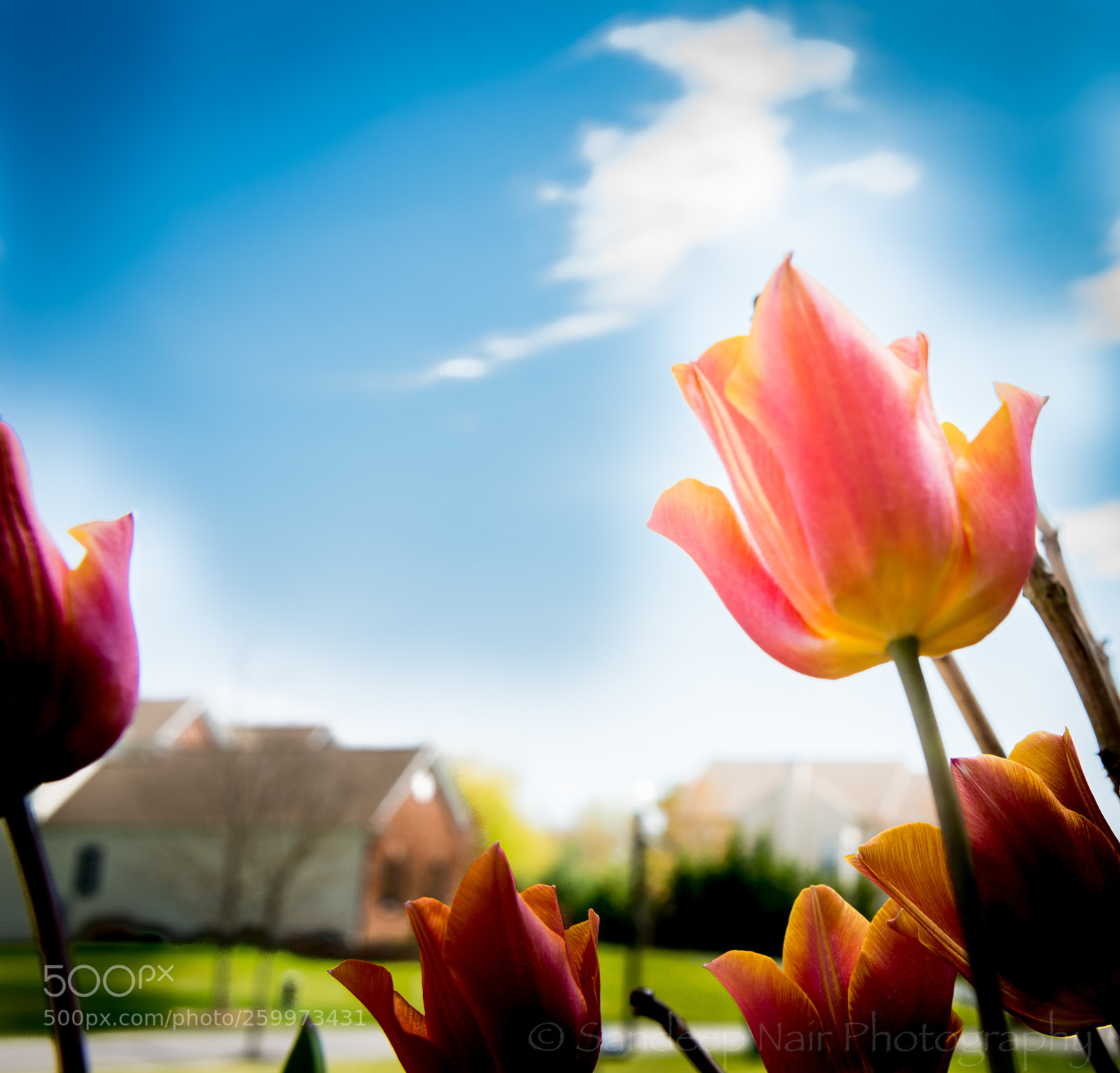 Nikon D750 sample photo. _1sp8457_1604211.jpg photography