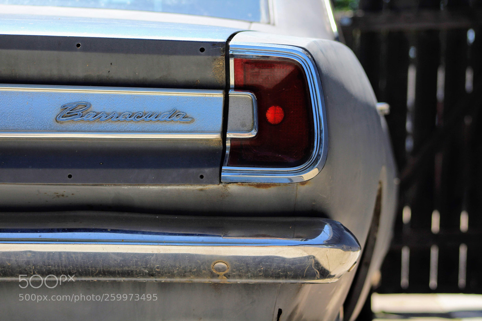 Canon EF 75-300mm f/4-5.6 sample photo. 67 barracuda photography