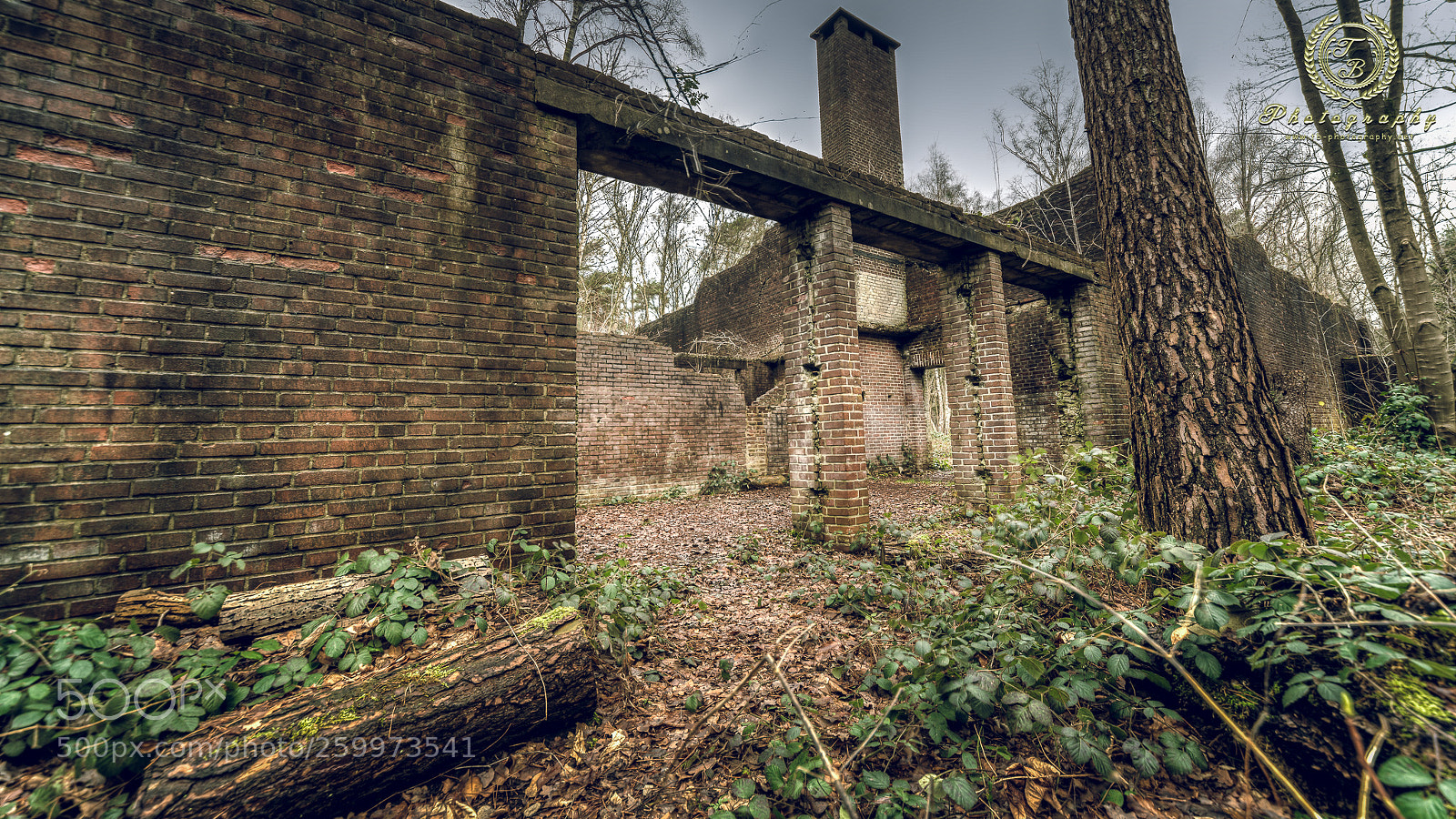 Nikon D800 sample photo. Lost place in nrw photography
