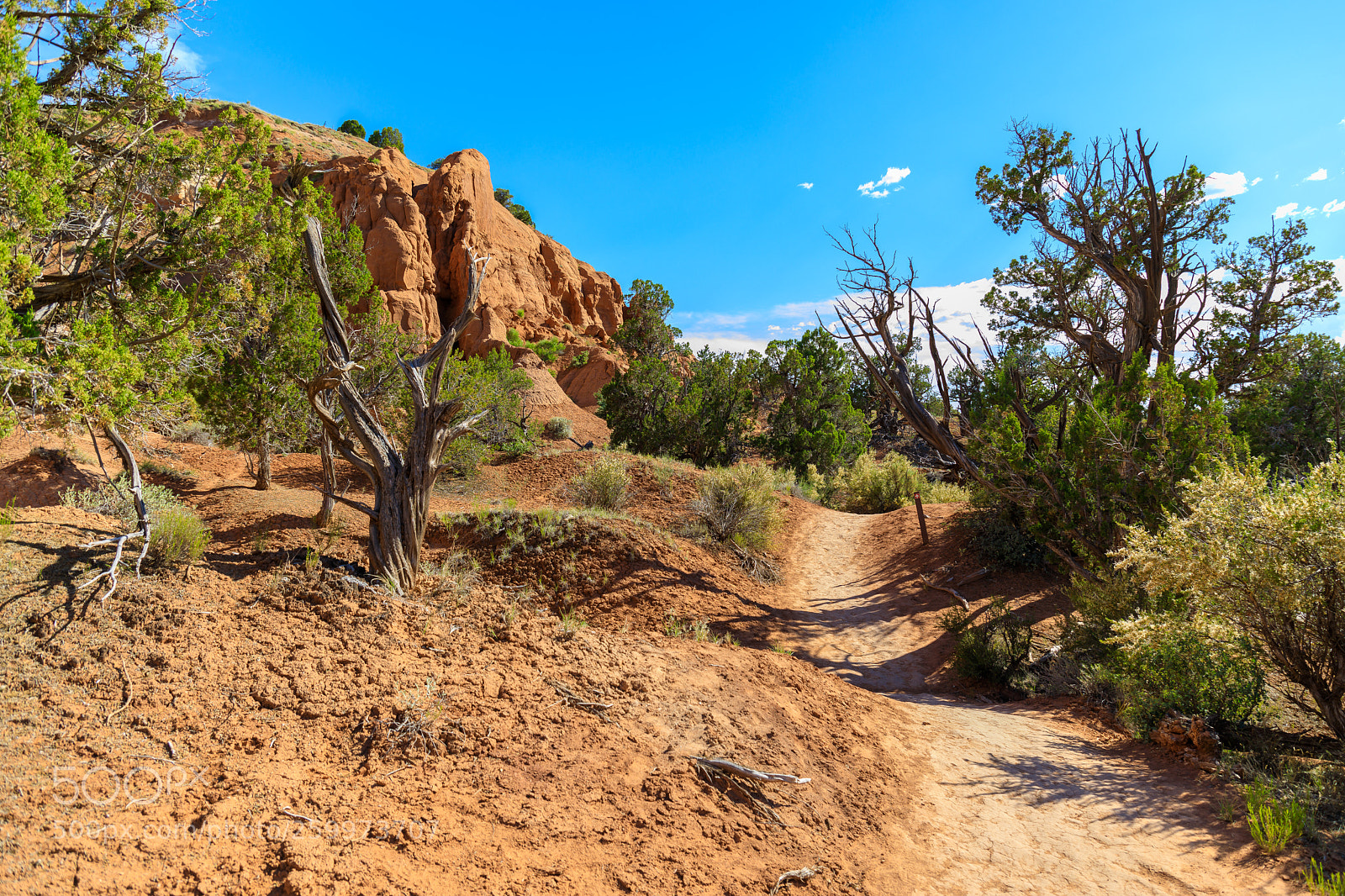 Canon EOS 5D Mark IV sample photo. Kodachrome basin state park 1728 photography