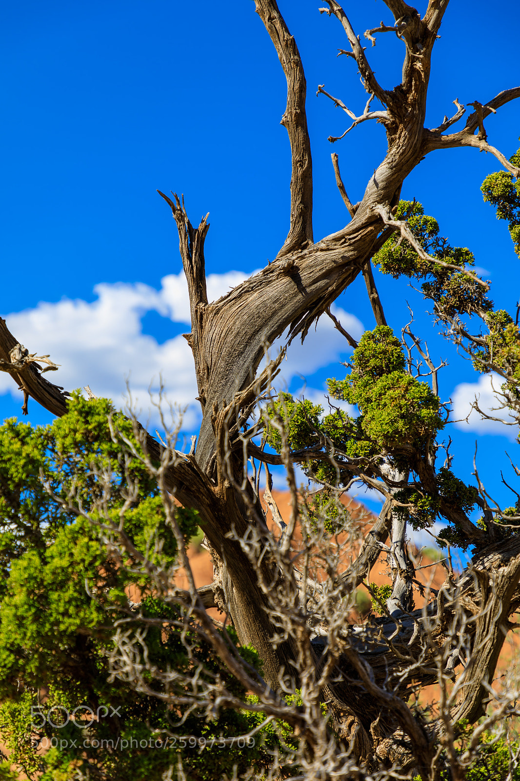 Canon EOS 5D Mark IV sample photo. Kodachrome basin state park 1727 photography