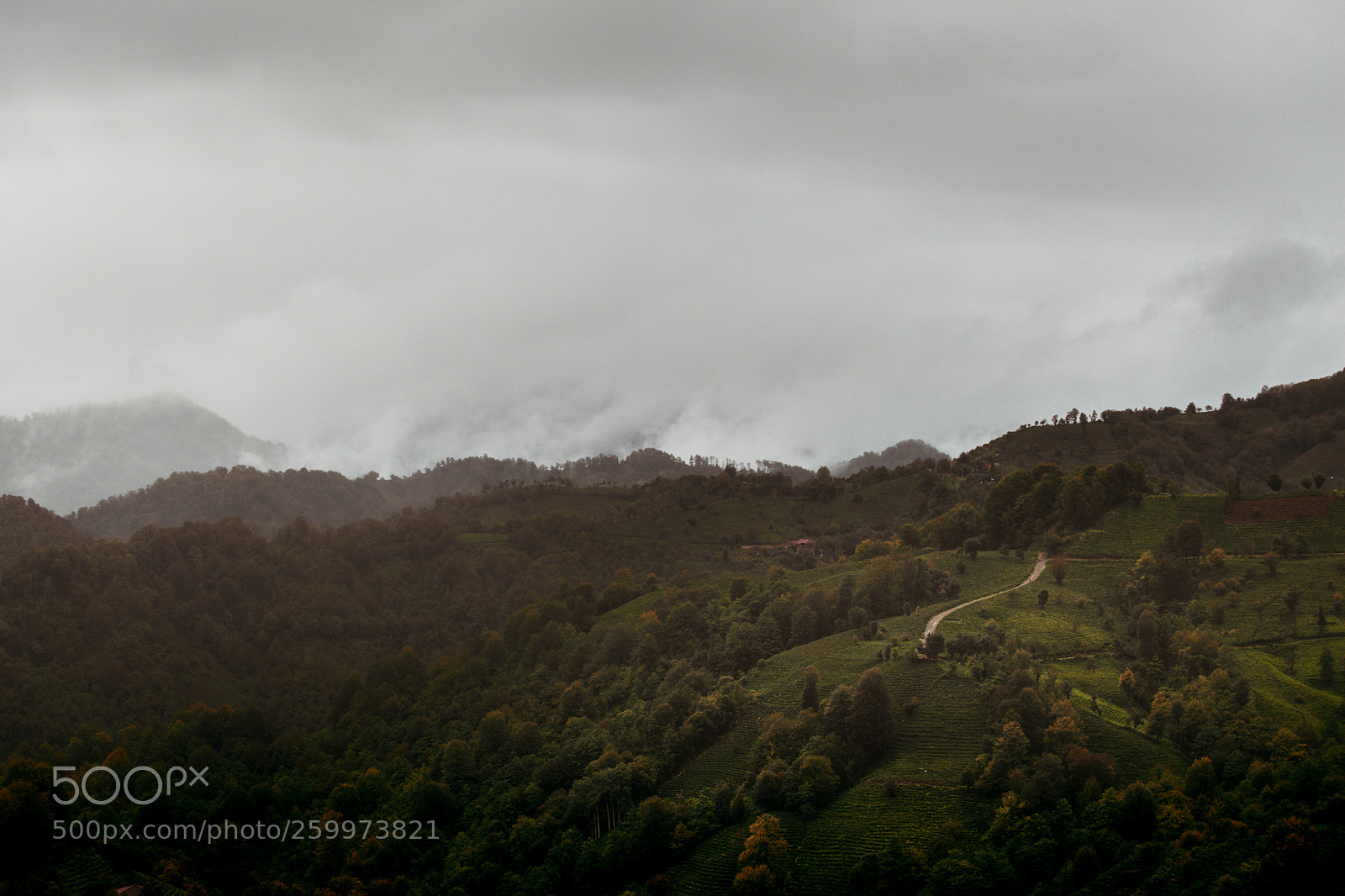 Canon EOS 5D Mark II sample photo. Wold photography