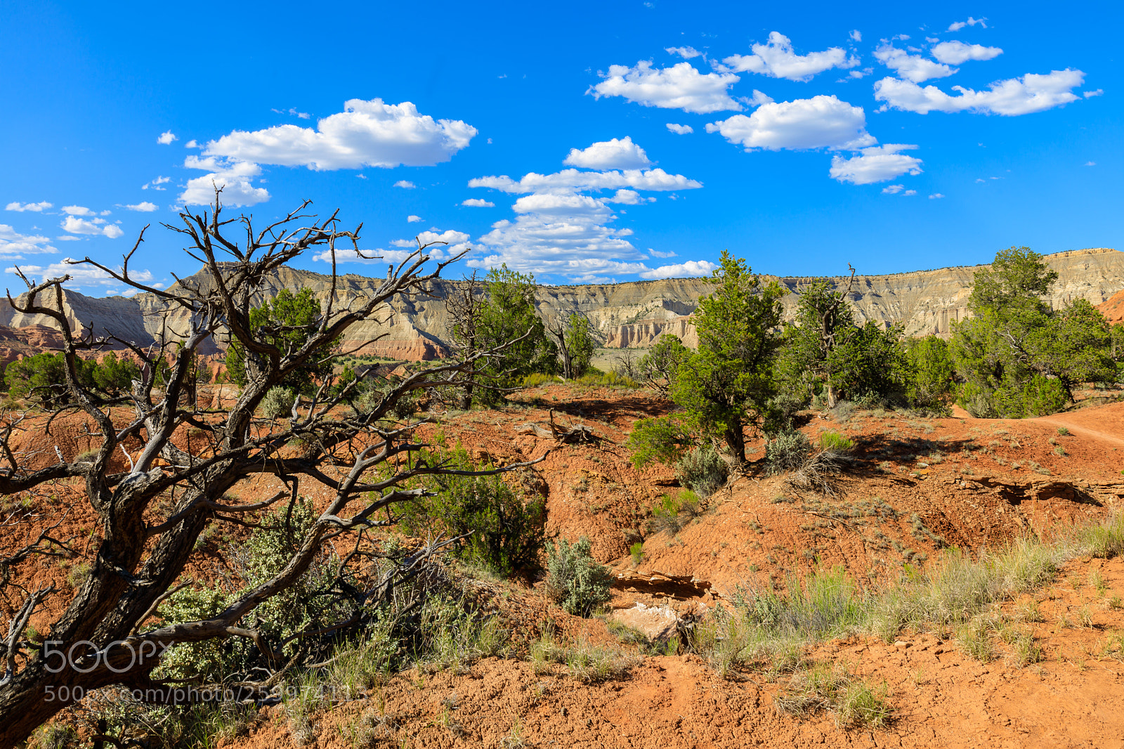 Canon EOS 5D Mark IV sample photo. Kodachrome basin state park 1736 photography