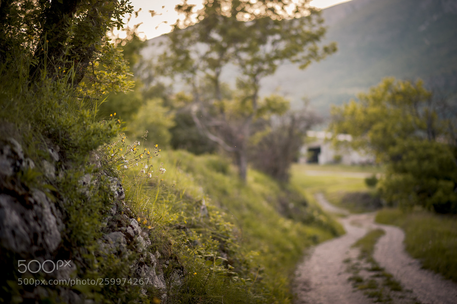 Nikon D700 sample photo. Px (sur ) photography