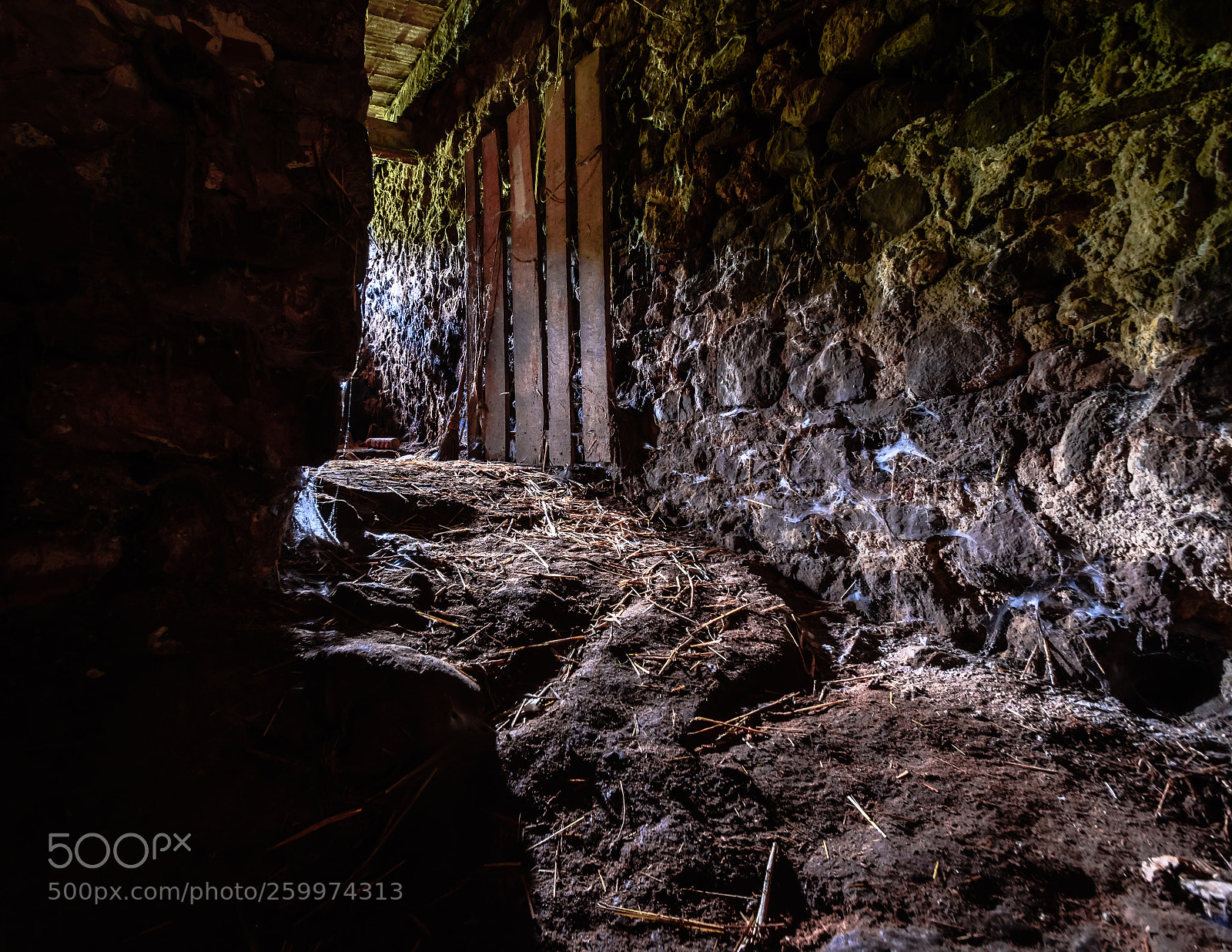Nikon D7200 sample photo. Puerta a la luz photography