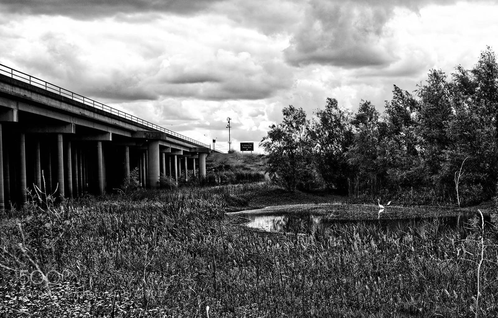 Leica M (Typ 240) sample photo. Untitled 555 photography