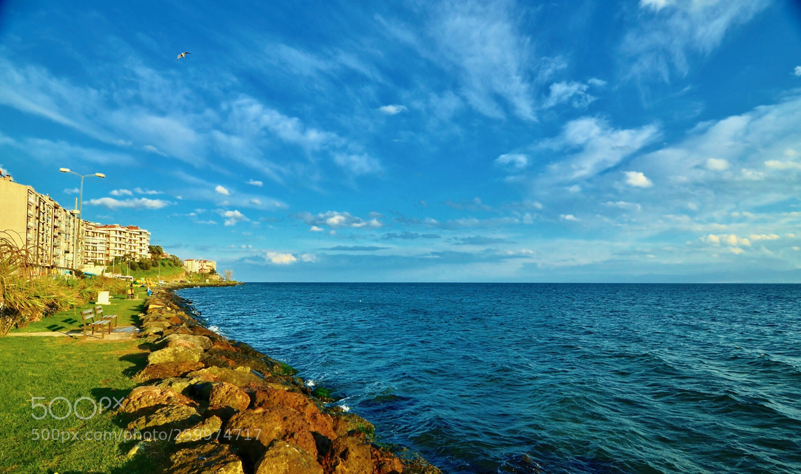 Nikon D7000 sample photo. Good afternoon photography
