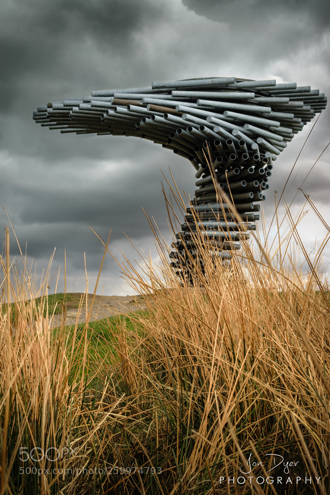 Nikon D3300 sample photo. Singing ringing tree storm photography