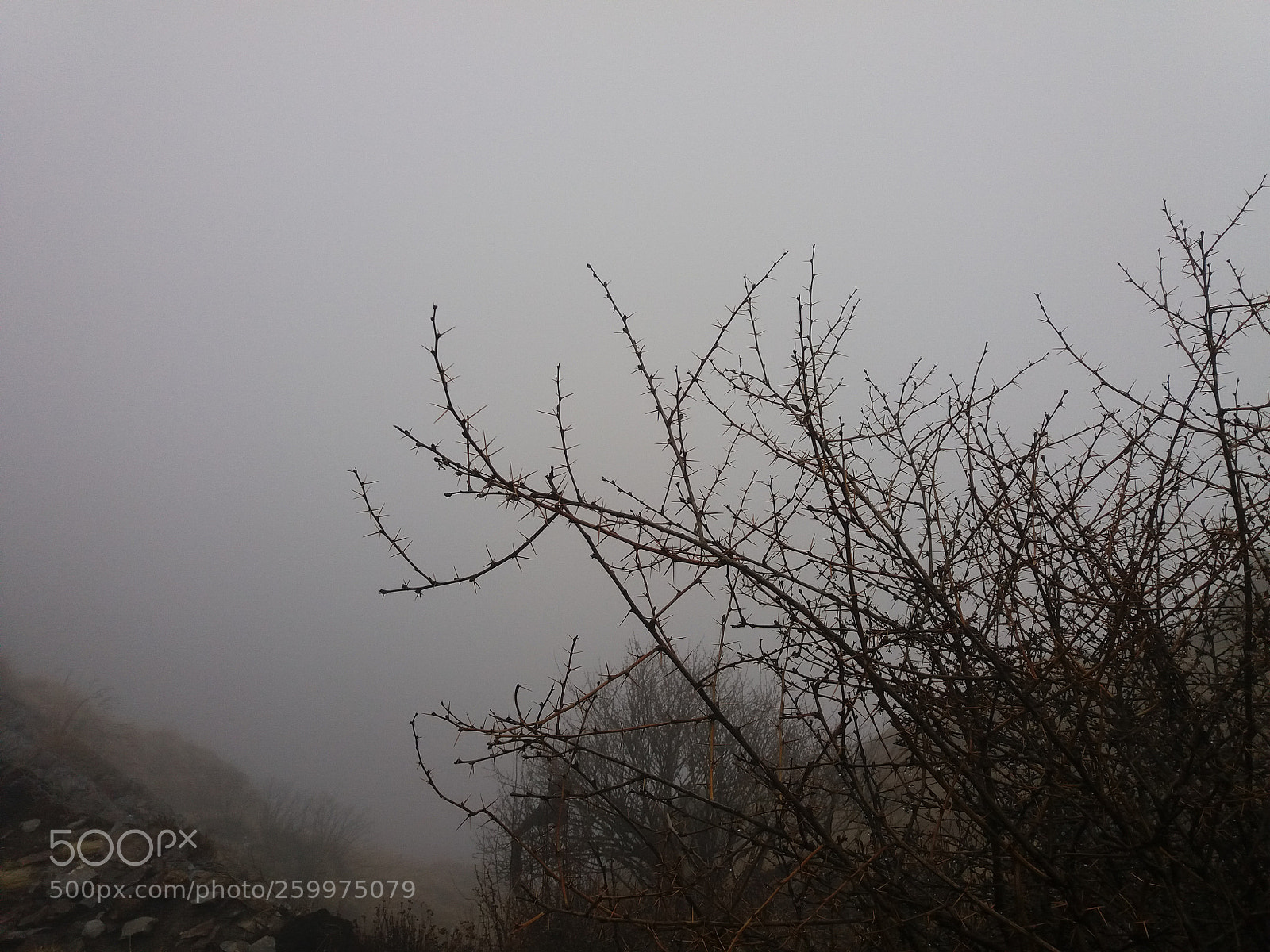 Samsung Galaxy J5 sample photo. Foggy photography