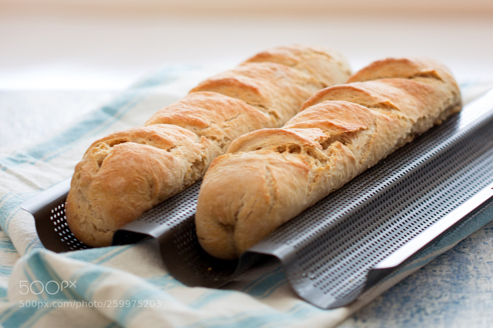 Canon EOS 600D (Rebel EOS T3i / EOS Kiss X5) sample photo. Wheat rye baguette photography