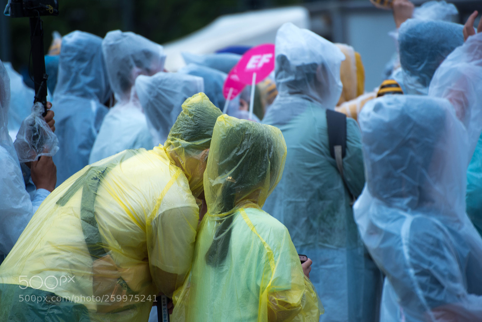Nikon D750 sample photo. Jek_5062-2.jpg photography