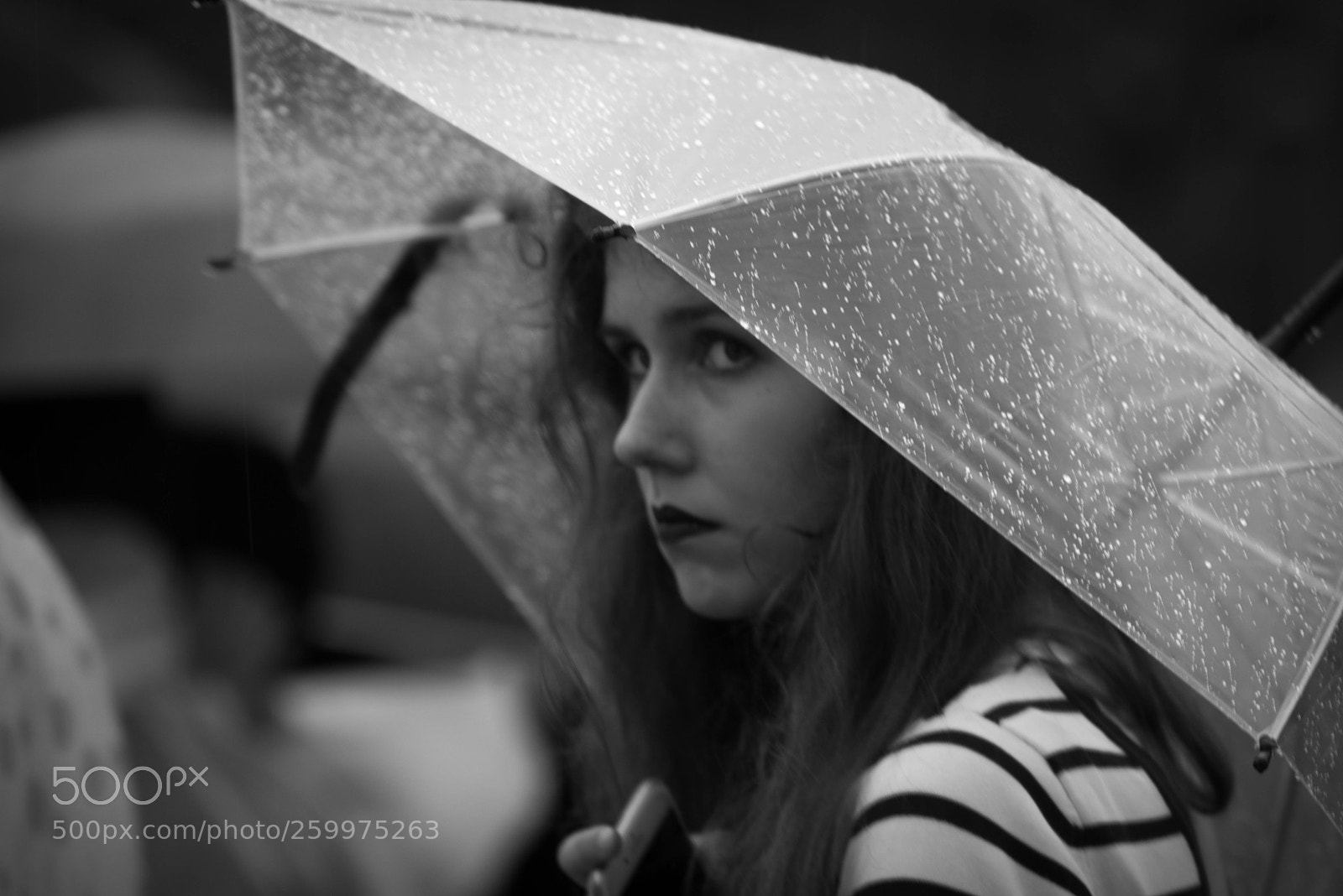 Nikon D750 sample photo. Jek_5095-2.jpg photography