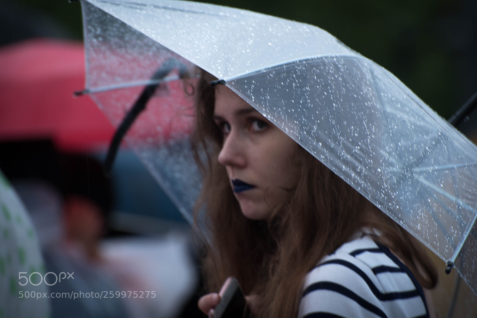 Nikon D750 sample photo. Jek_5095-3.jpg photography