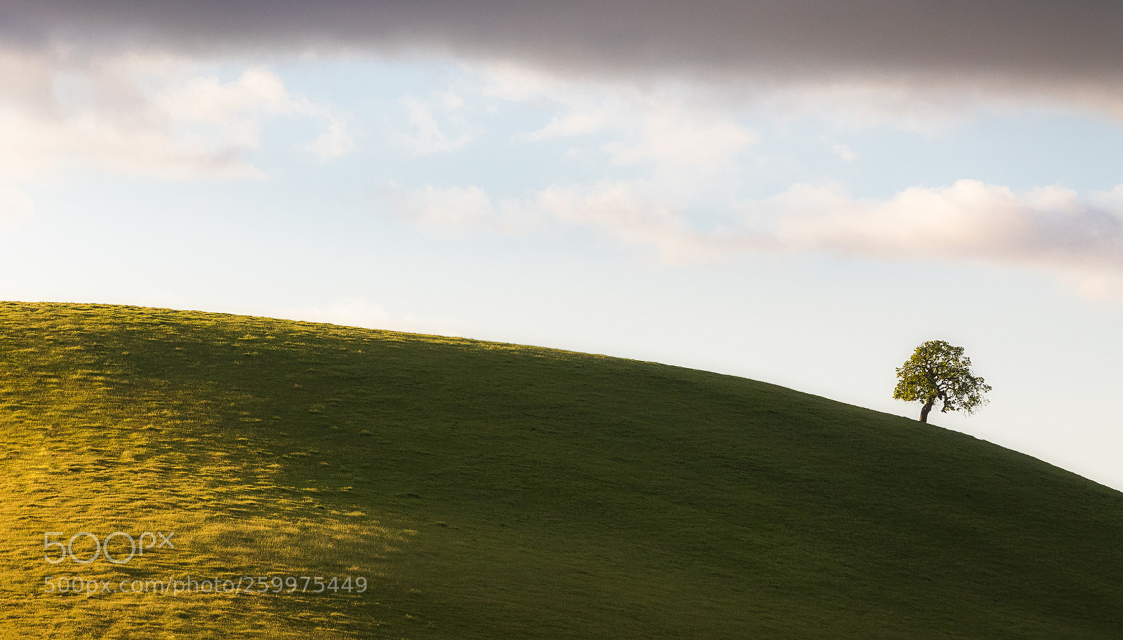 Canon EOS 7D Mark II sample photo. Left behind photography