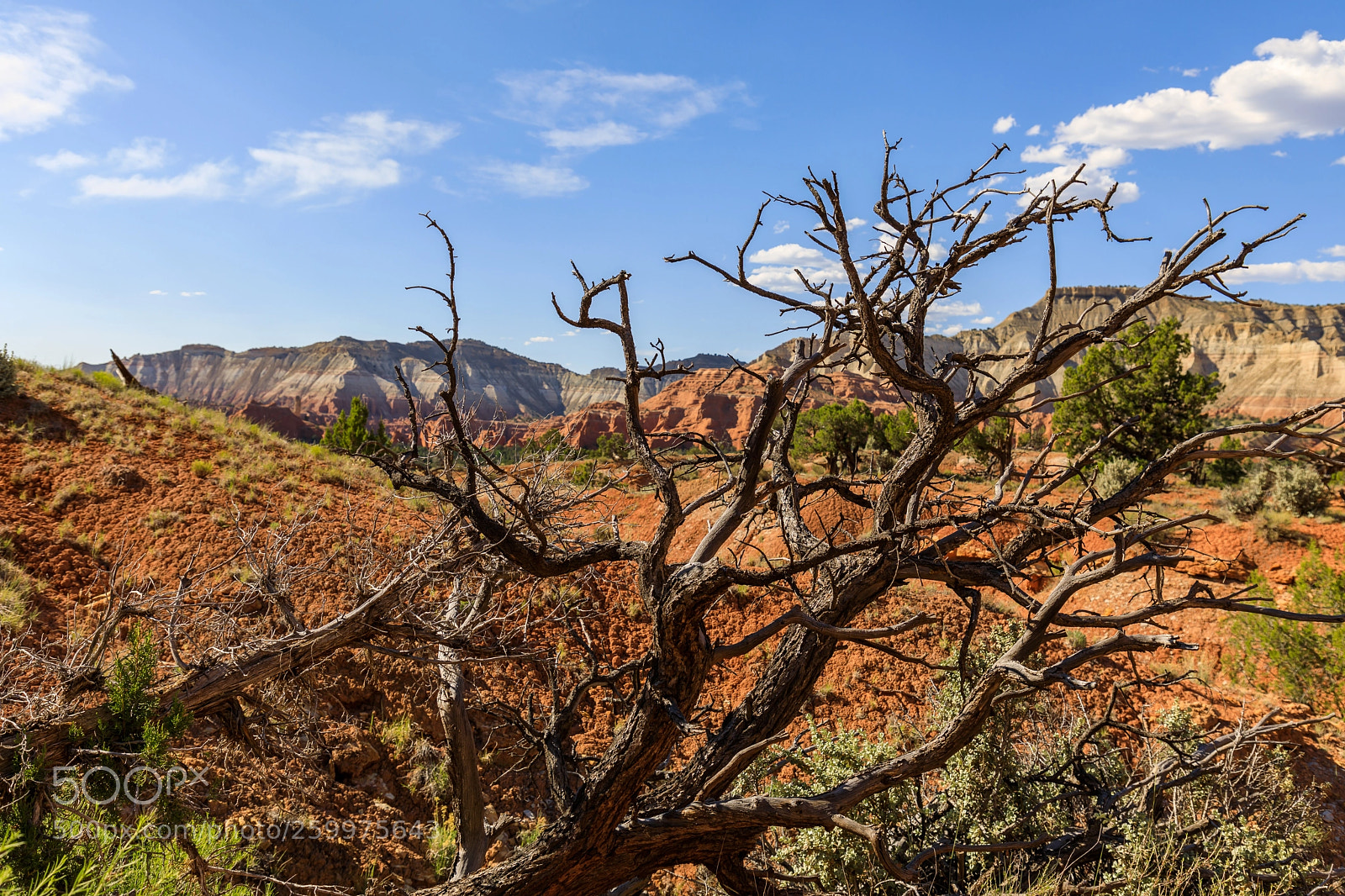 Canon EOS 5D Mark IV sample photo. Kodachrome basin state park 1739 photography