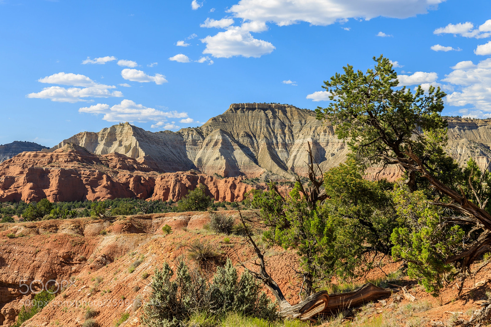 Canon EOS 5D Mark IV sample photo. Kodachrome basin state park 1740 photography