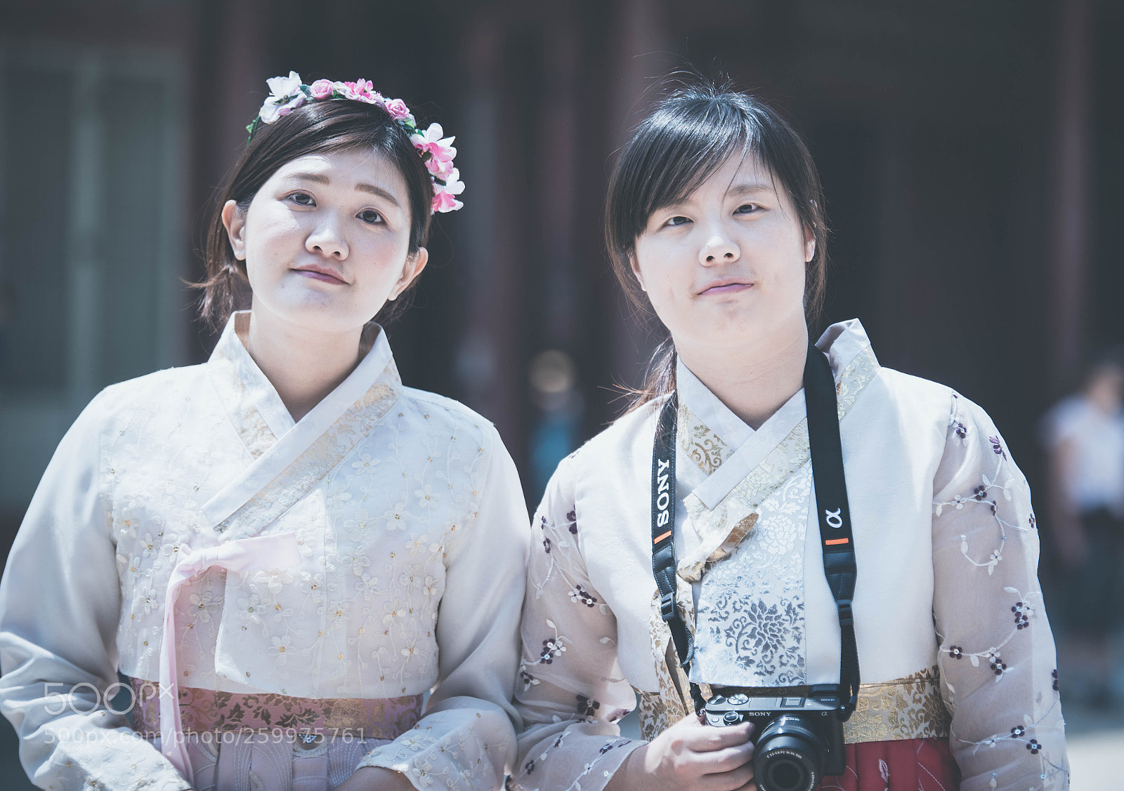 Nikon D750 sample photo. Jek photography