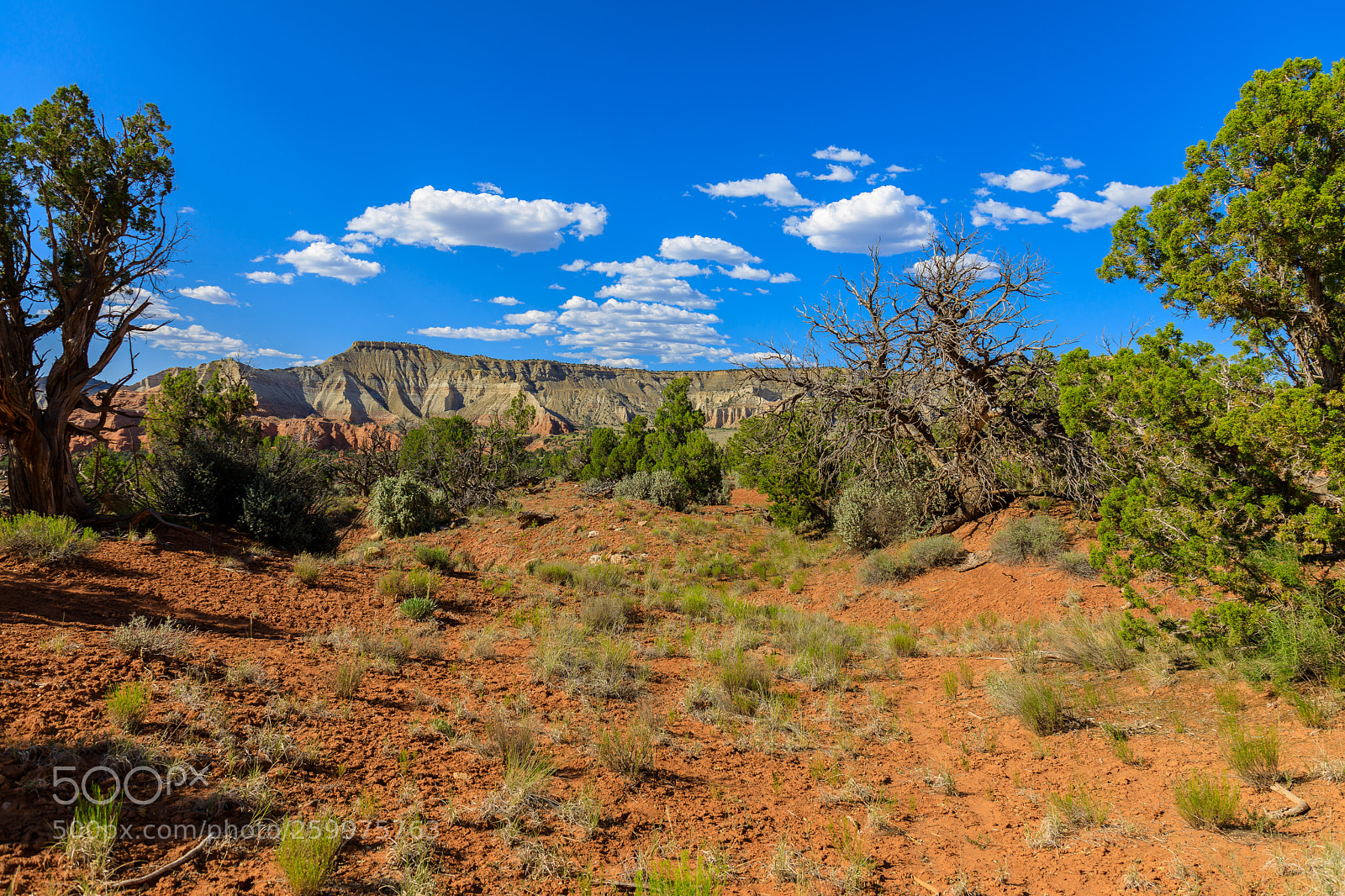 Canon EOS 5D Mark IV sample photo. Kodachrome basin state park 1742 photography