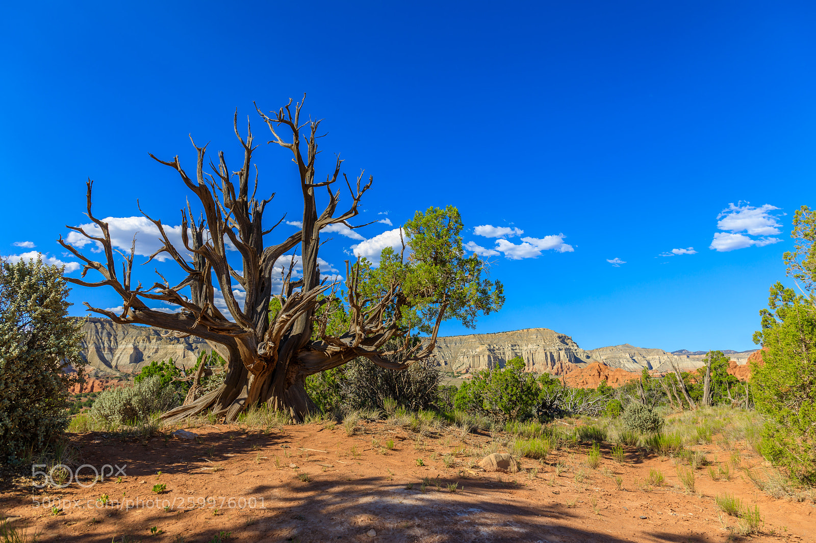 Canon EOS 5D Mark IV sample photo. Kodachrome basin state park 1747 photography