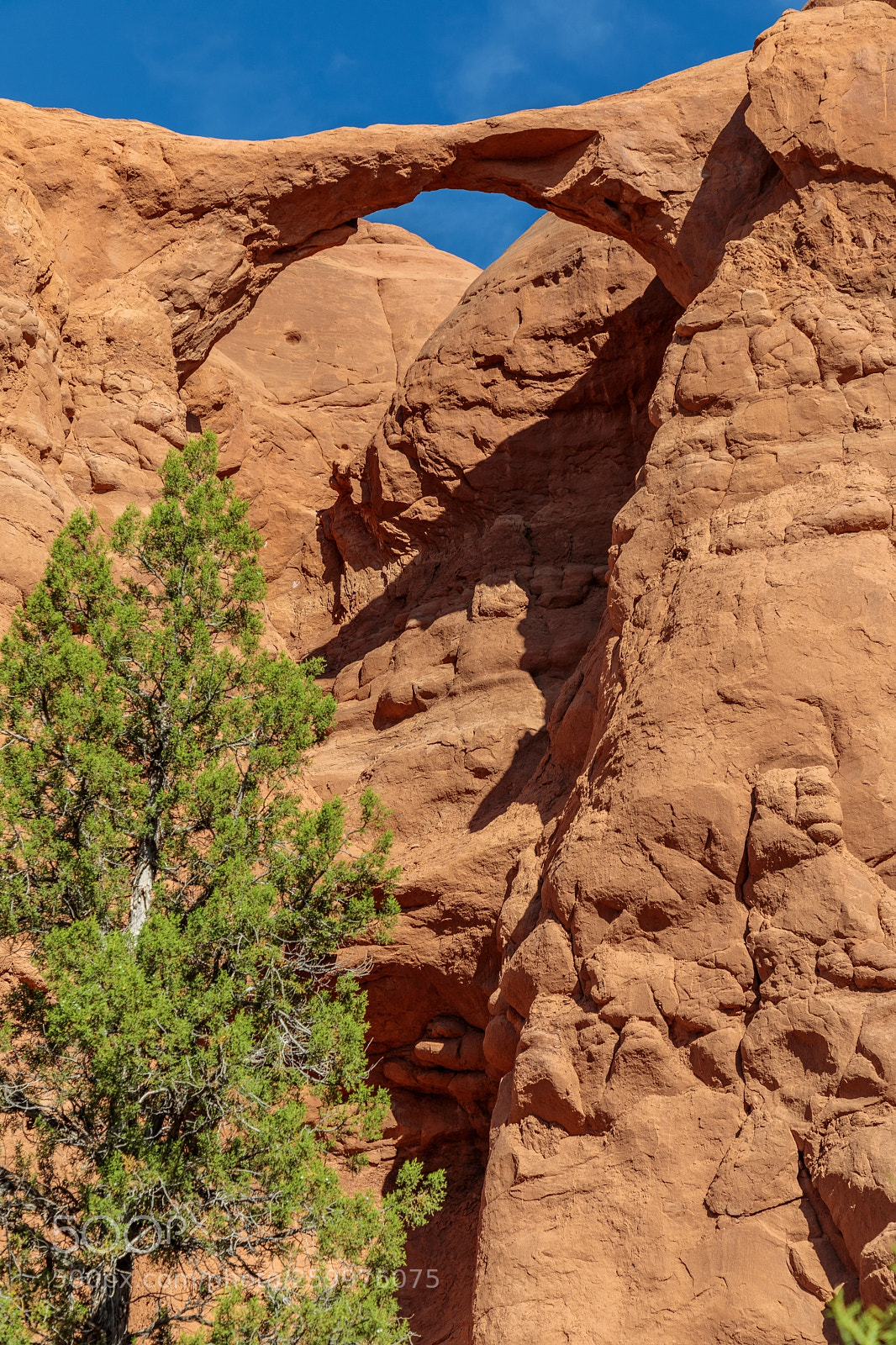 Canon EOS 5D Mark IV sample photo. Kodachrome basin state park 1755 photography