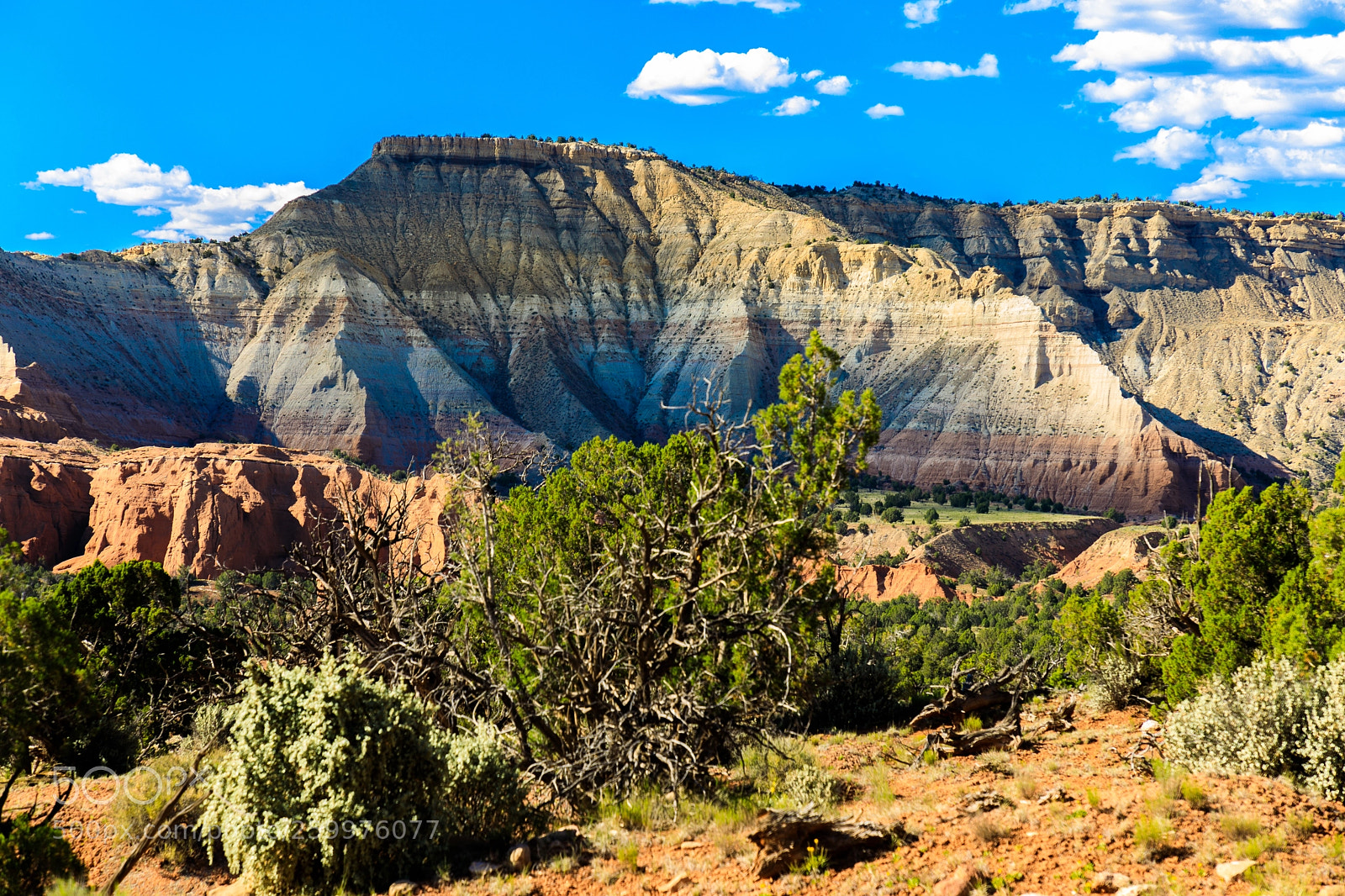 Canon EOS 5D Mark IV sample photo. Kodachrome basin state park 1768 photography
