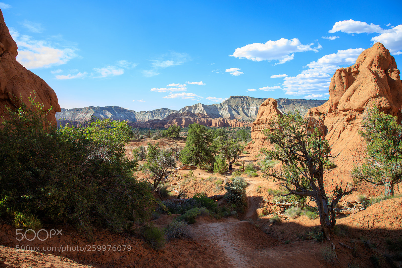 Canon EOS 5D Mark IV sample photo. Kodachrome basin state park 1757 photography