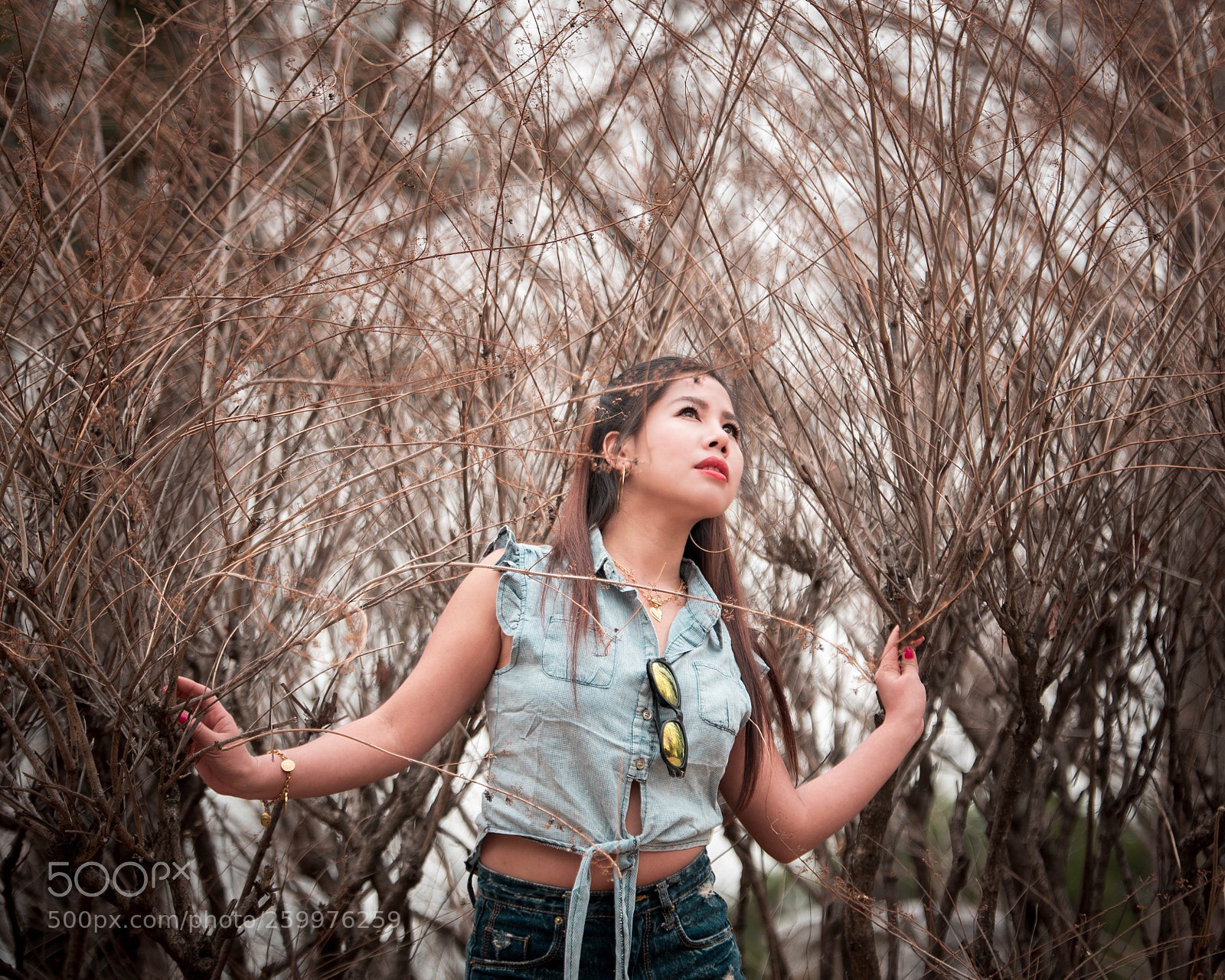 Nikon D750 sample photo. Jek_9126-2.jpg photography