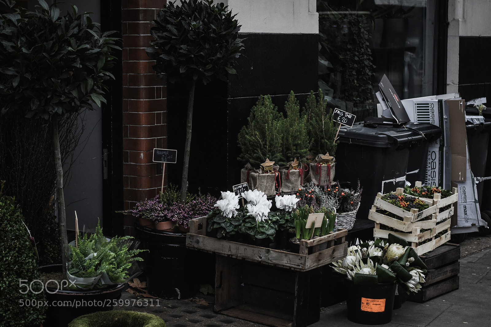 Nikon D7200 sample photo. Green corner photography