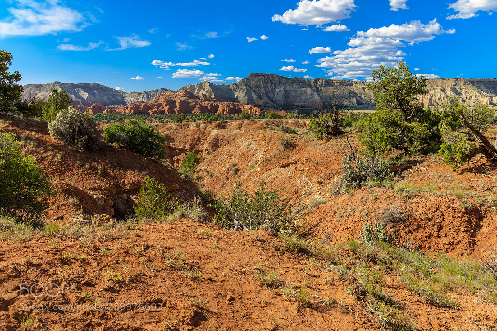 Canon EOS 5D Mark IV sample photo. Kodachrome basin state park 1771 photography