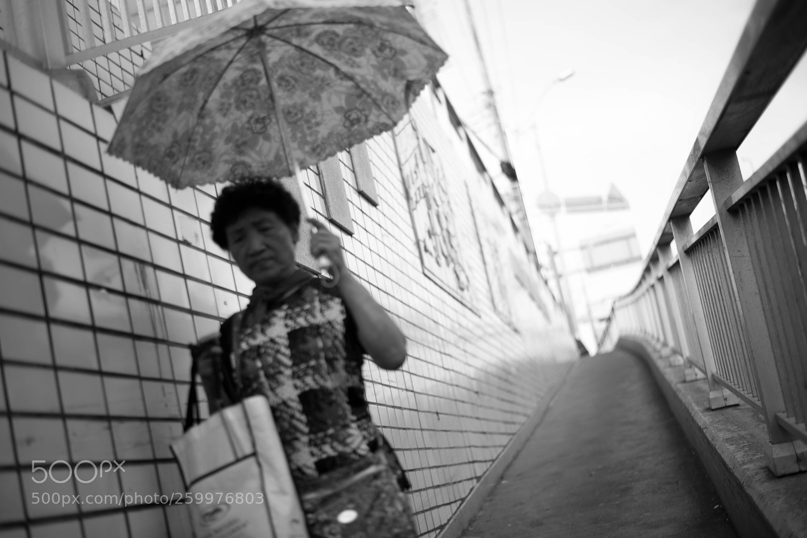 Nikon D750 sample photo. Jek photography