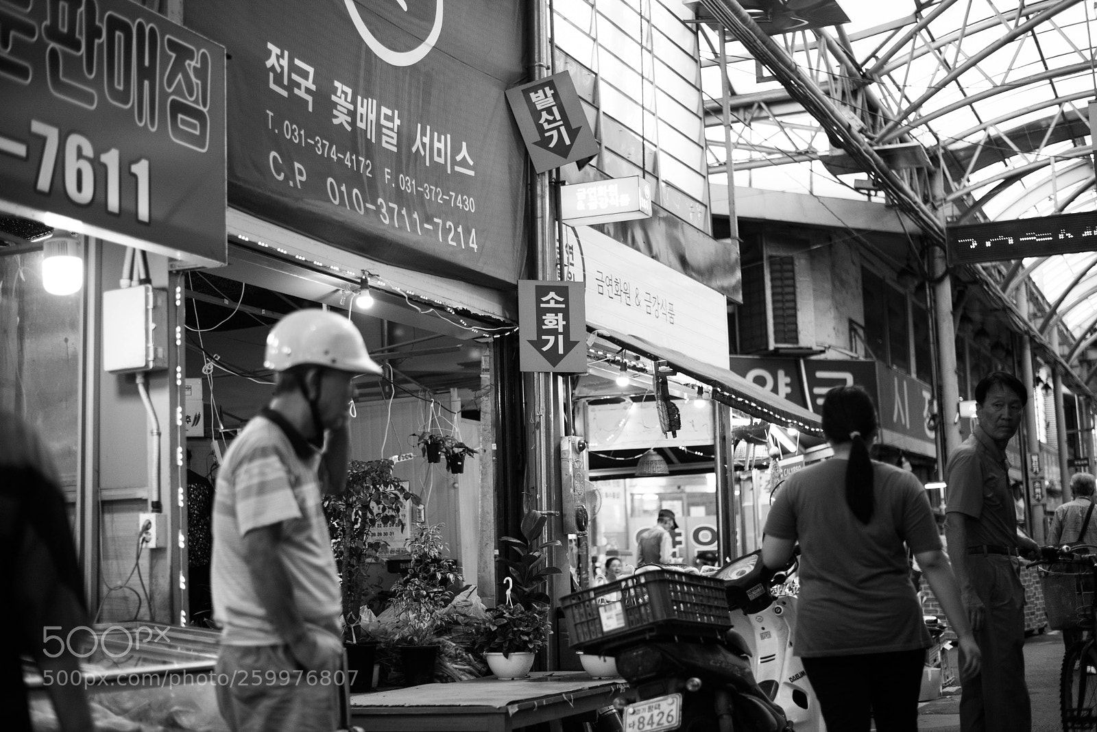 Nikon D750 sample photo. Jek photography