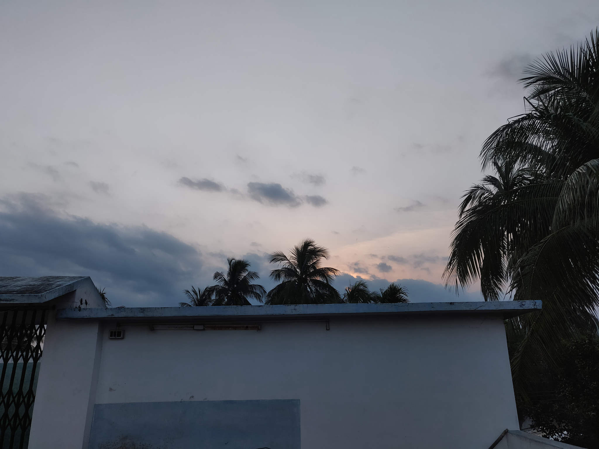 OnePlus A6000 sample photo