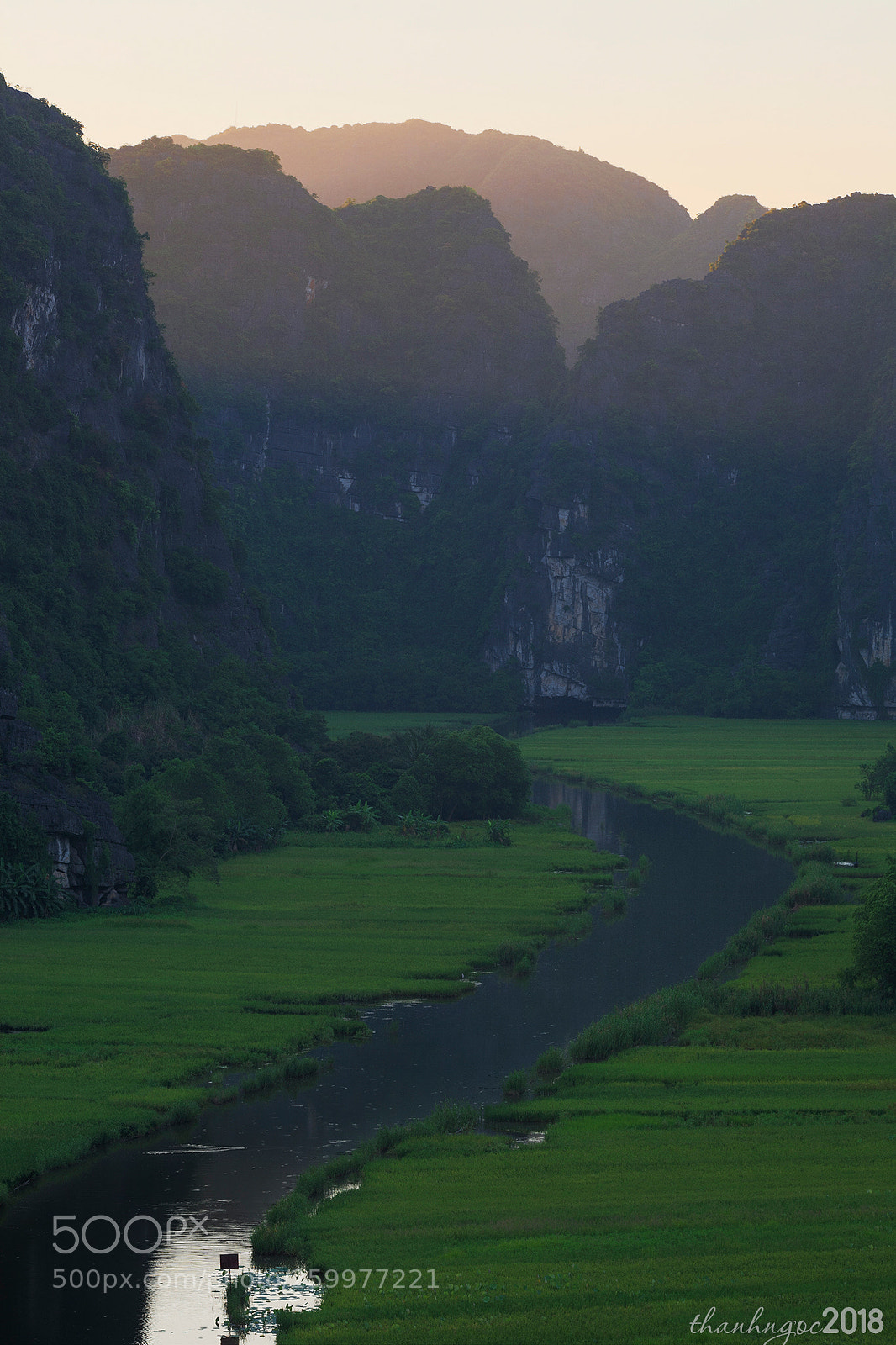 Canon EOS 5D sample photo. Tam coc rice field photography
