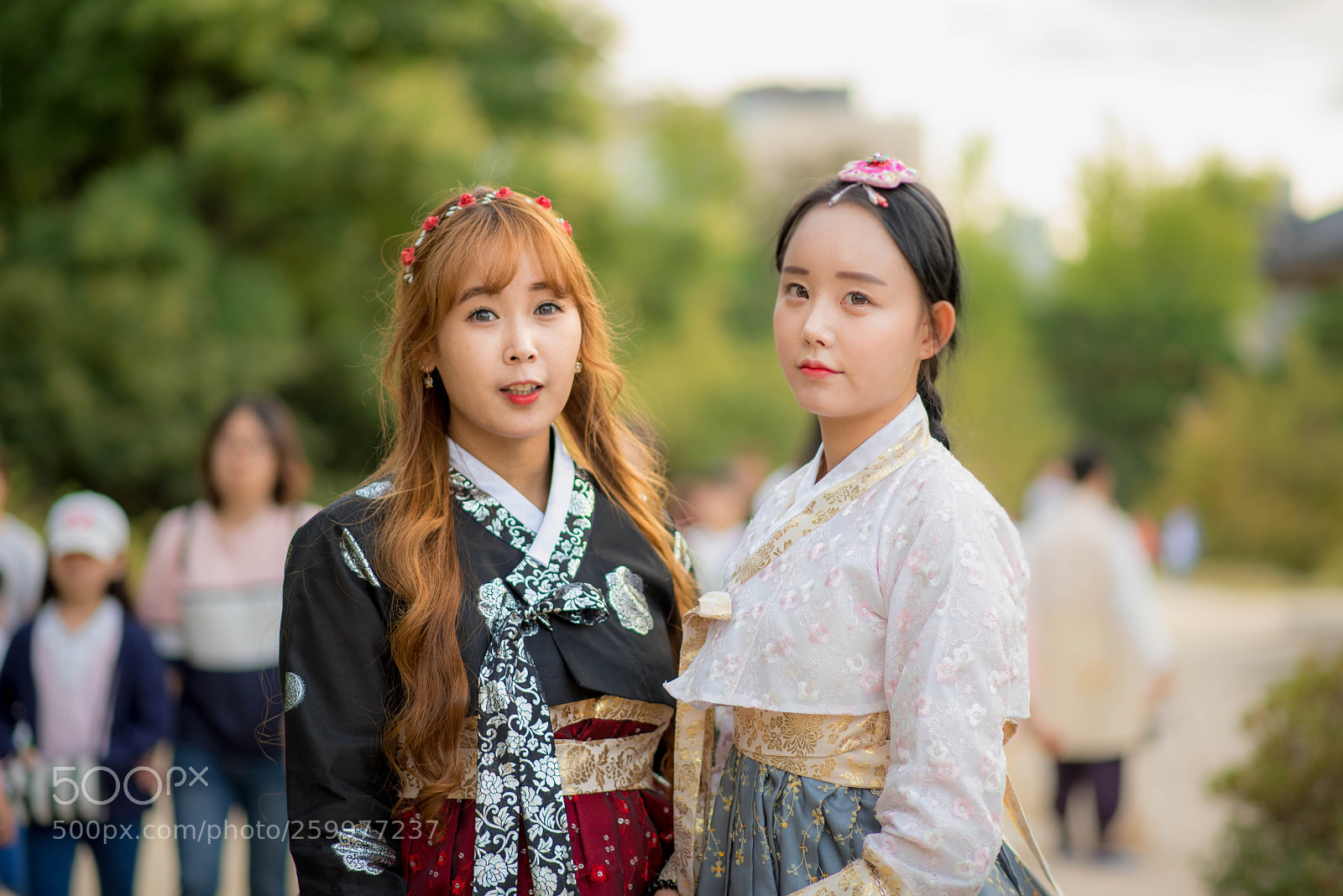 Nikon D750 sample photo. Jek photography
