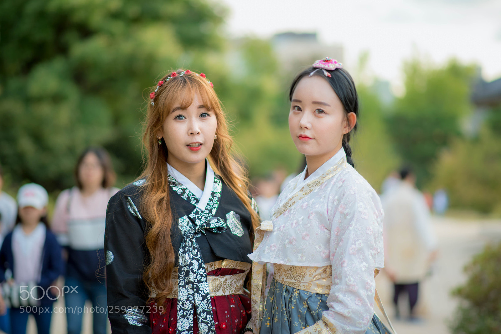 Nikon D750 sample photo. Jek_6765-2.jpg photography