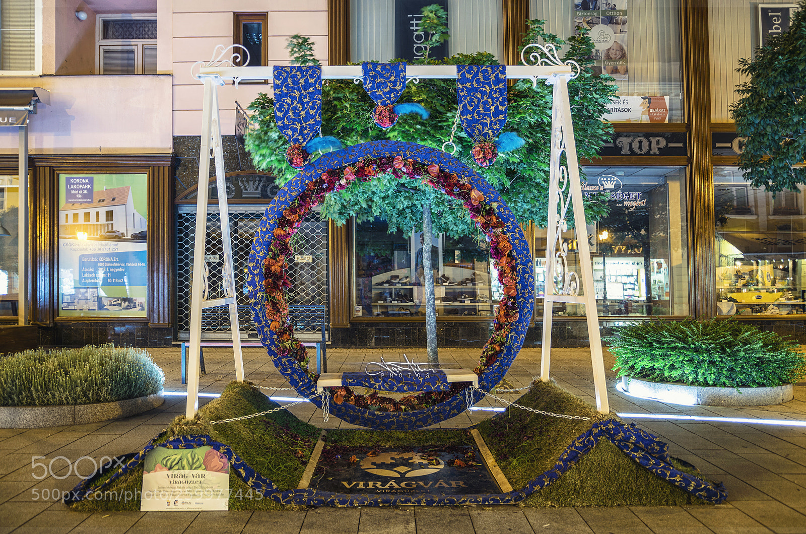 Nikon D5300 sample photo. Decoration photography