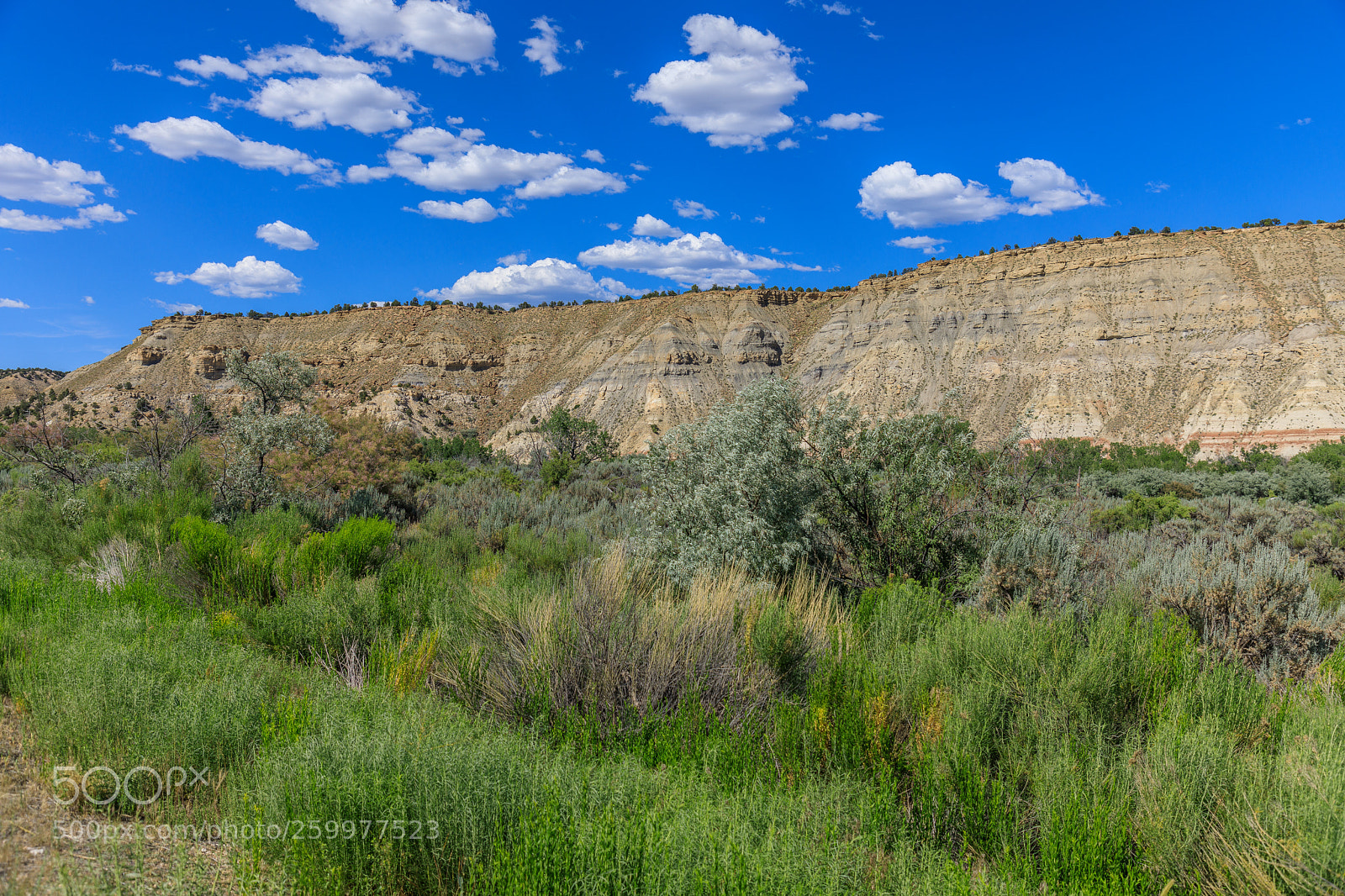 Canon EOS 5D Mark IV sample photo. Rural utah 1686 photography
