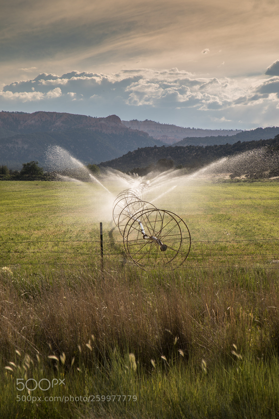 Canon EOS 5D Mark IV sample photo. Rural utah 1879 photography