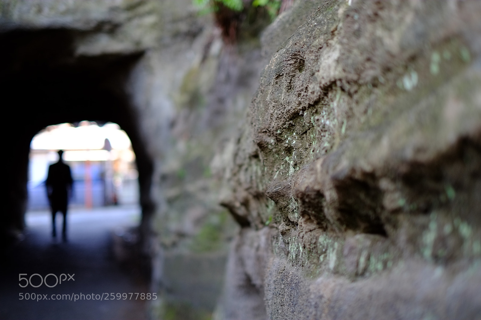 Fujifilm X-E1 sample photo. Hand-digging tunnel photography