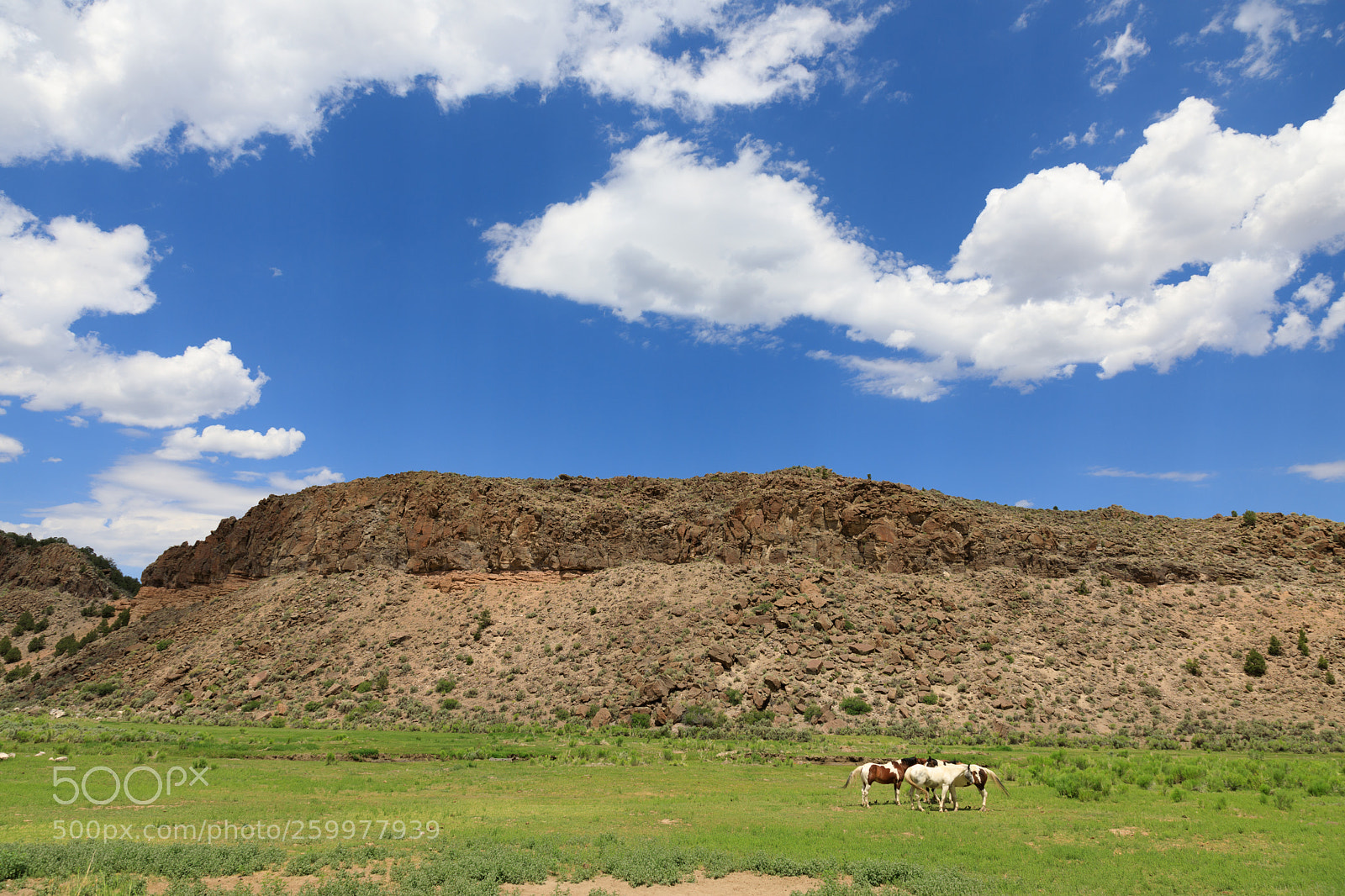 Canon EOS 5D Mark IV sample photo. Rural utah 2156 photography