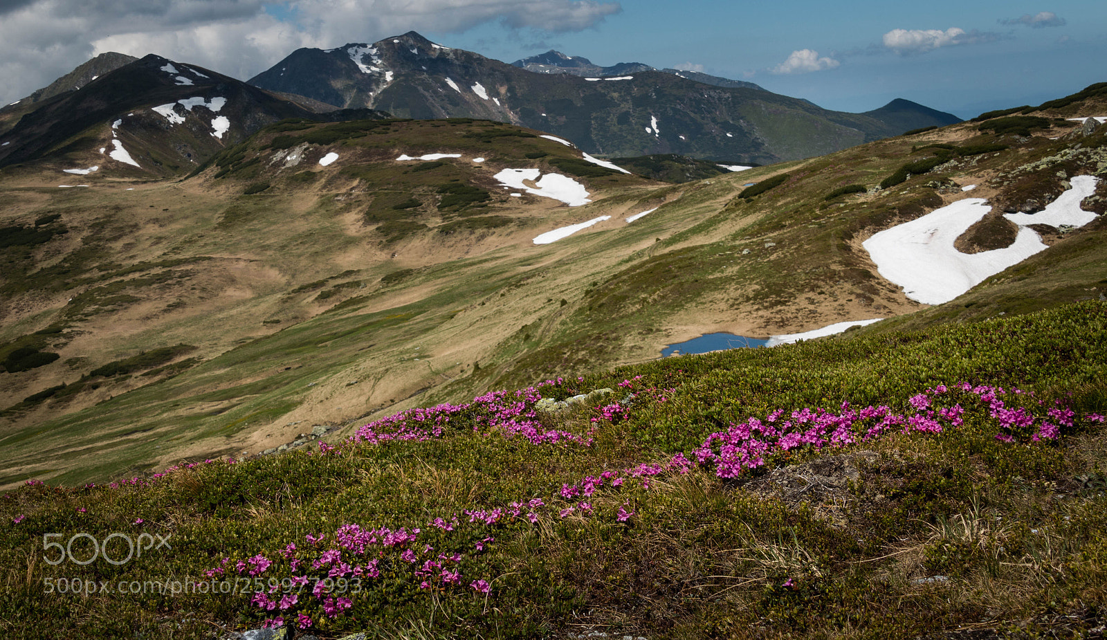 Canon EOS 70D sample photo. Mountain spring photography